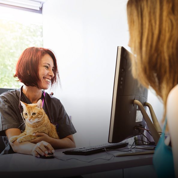 Veterinary Care