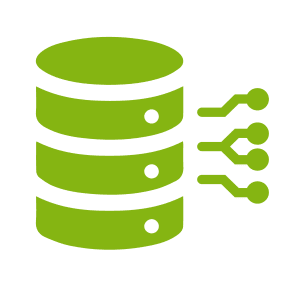 Data icon
